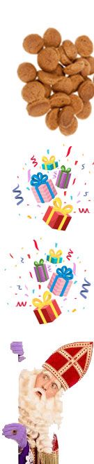 Sinterklaas surprise actie depretfabriek